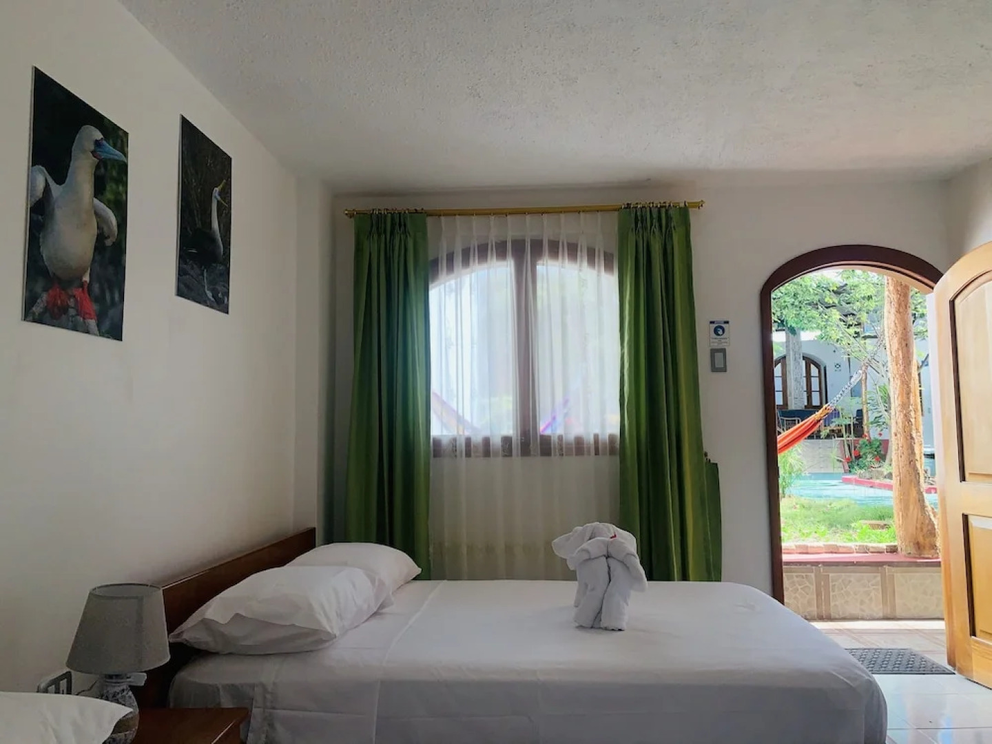 White House Galapagos