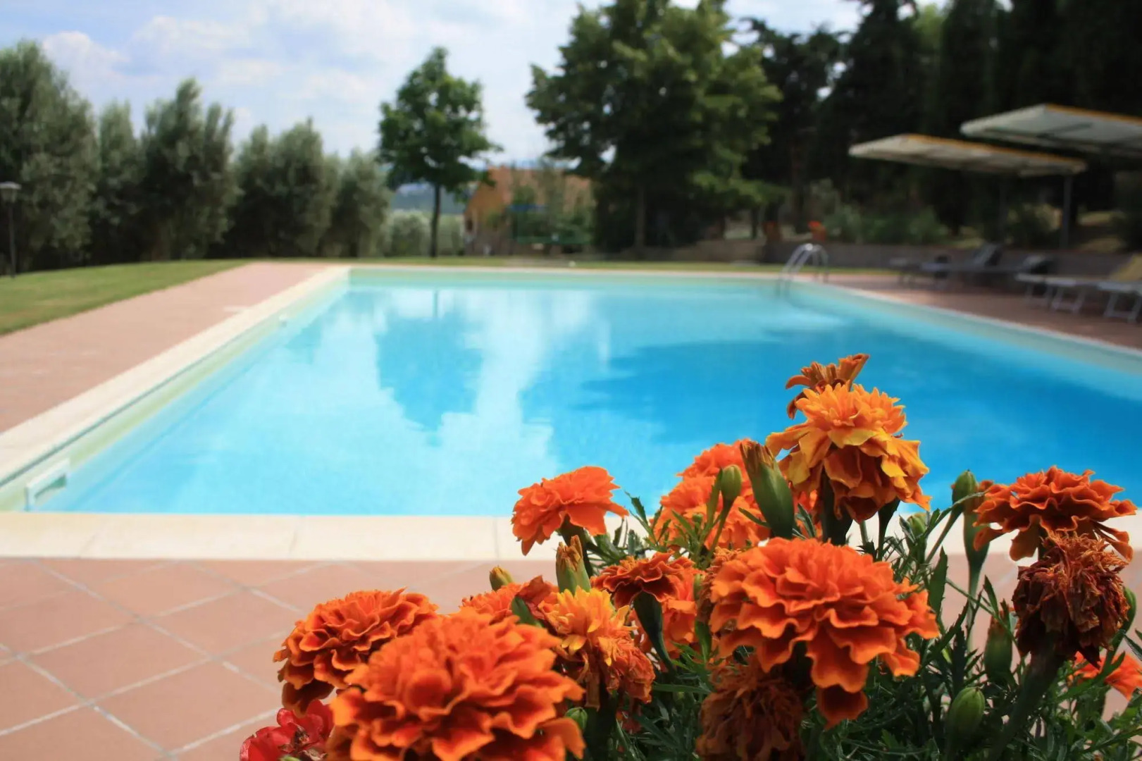 Agriturismo Materno
