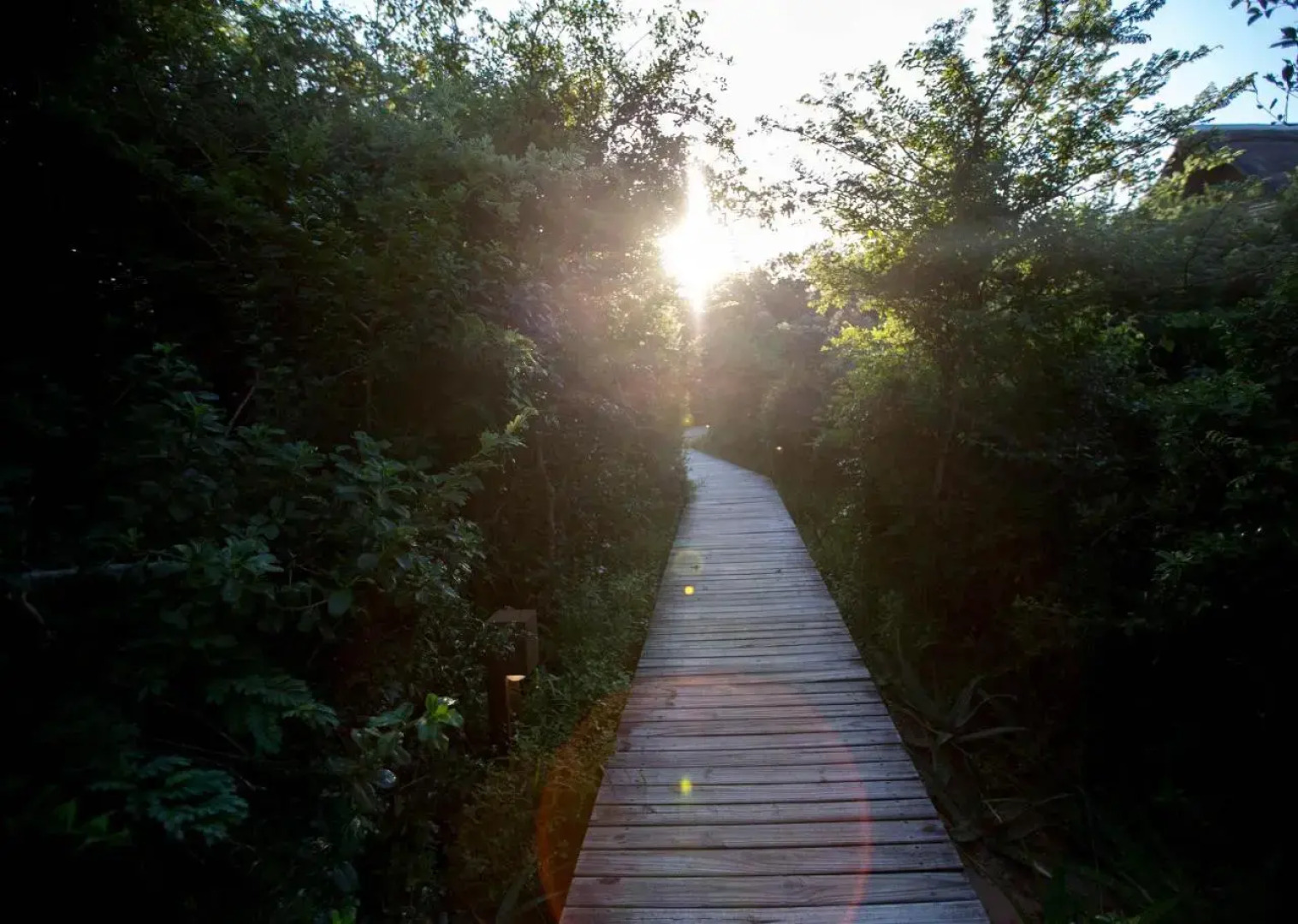 Royal Thonga Safari Lodge