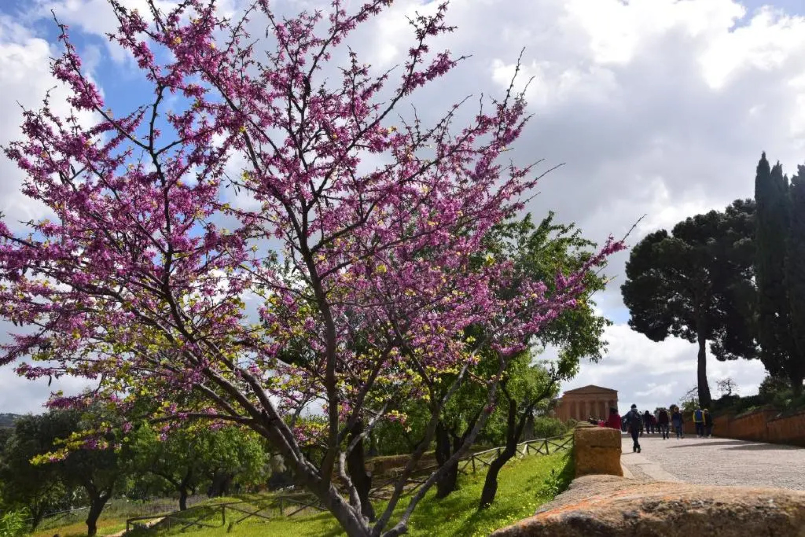 Apartment La Conchiglia