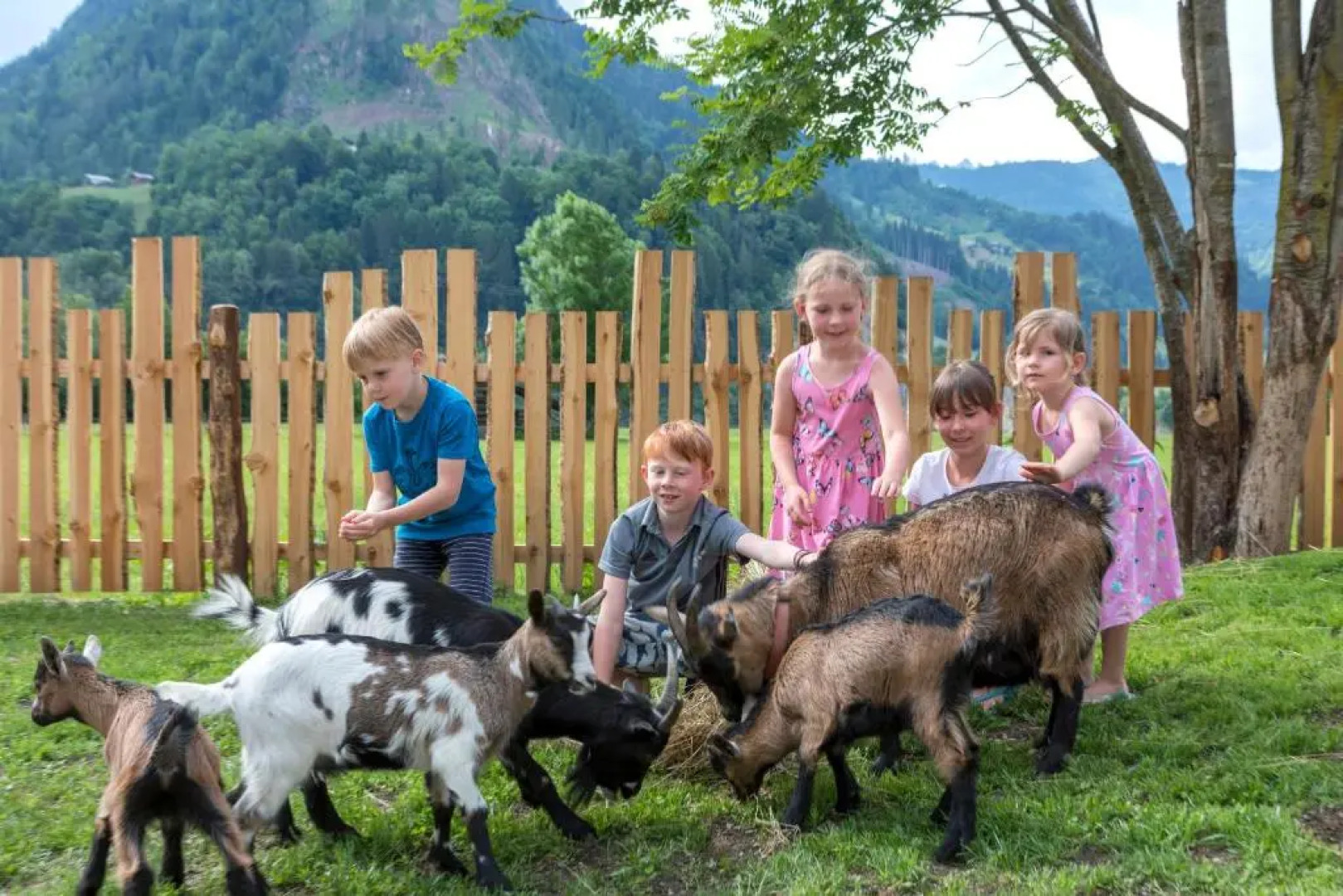 Landhotel Lerch Plankenau