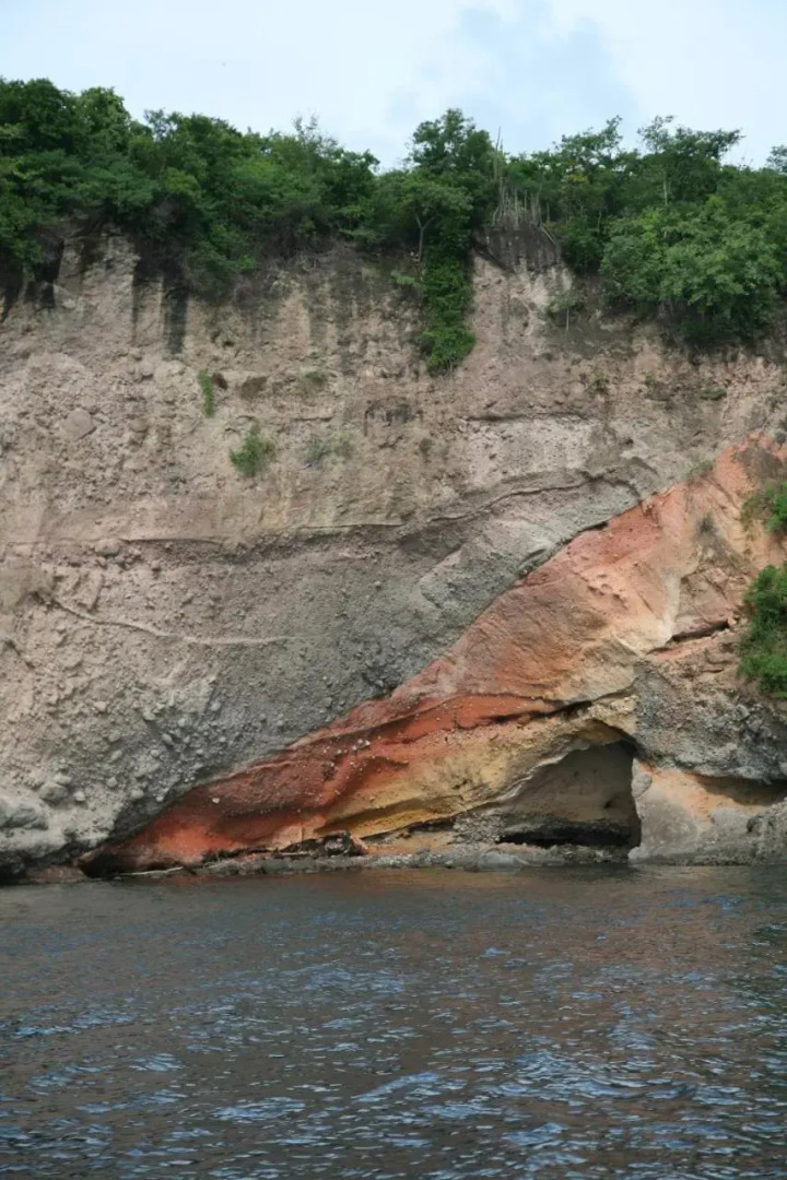 T2 tropical en bord de piscine à 100m de la mer