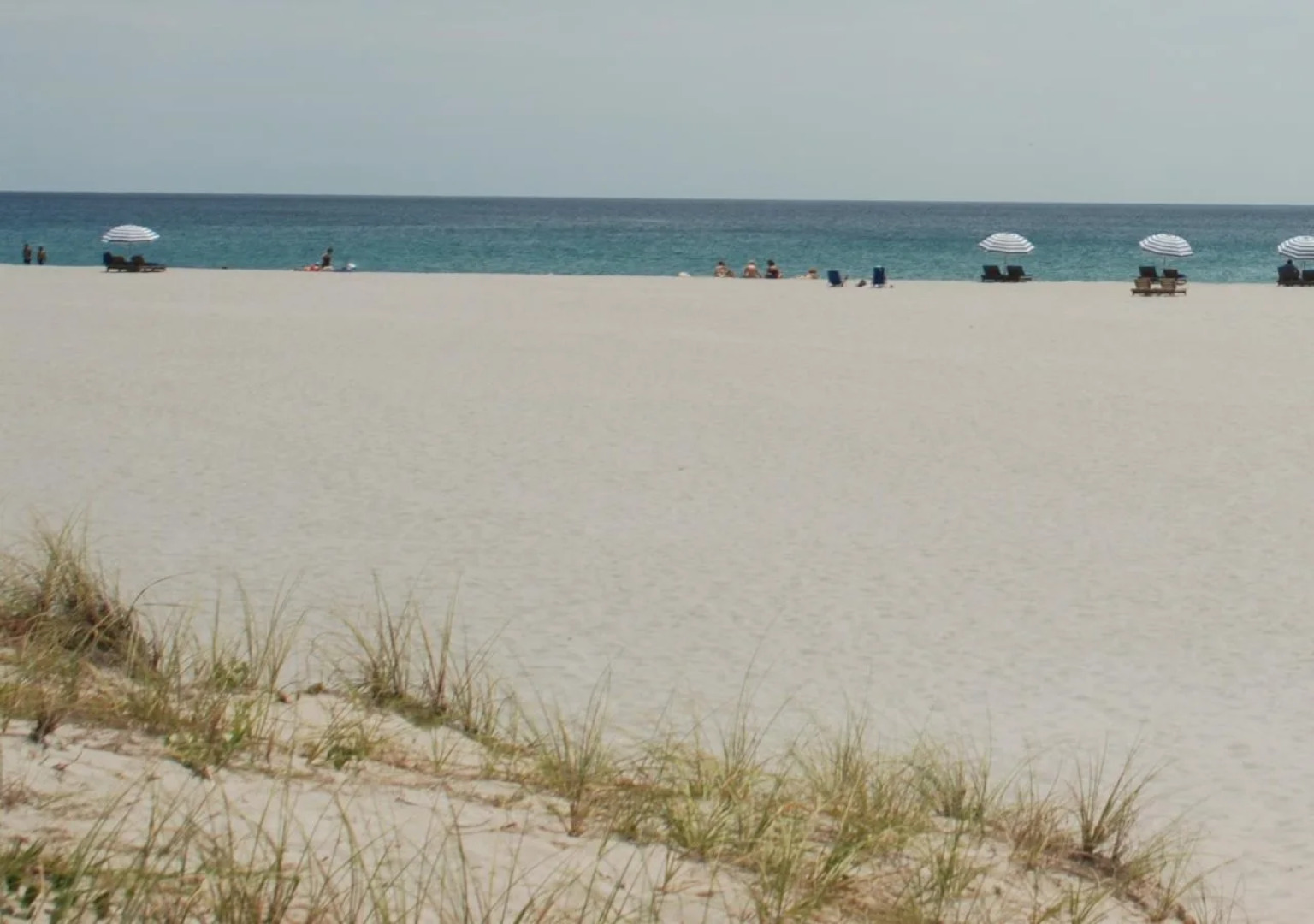 Best Western Plus University Inn