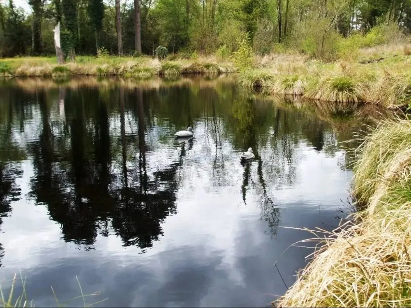 Rivendell Bed and Breakfast