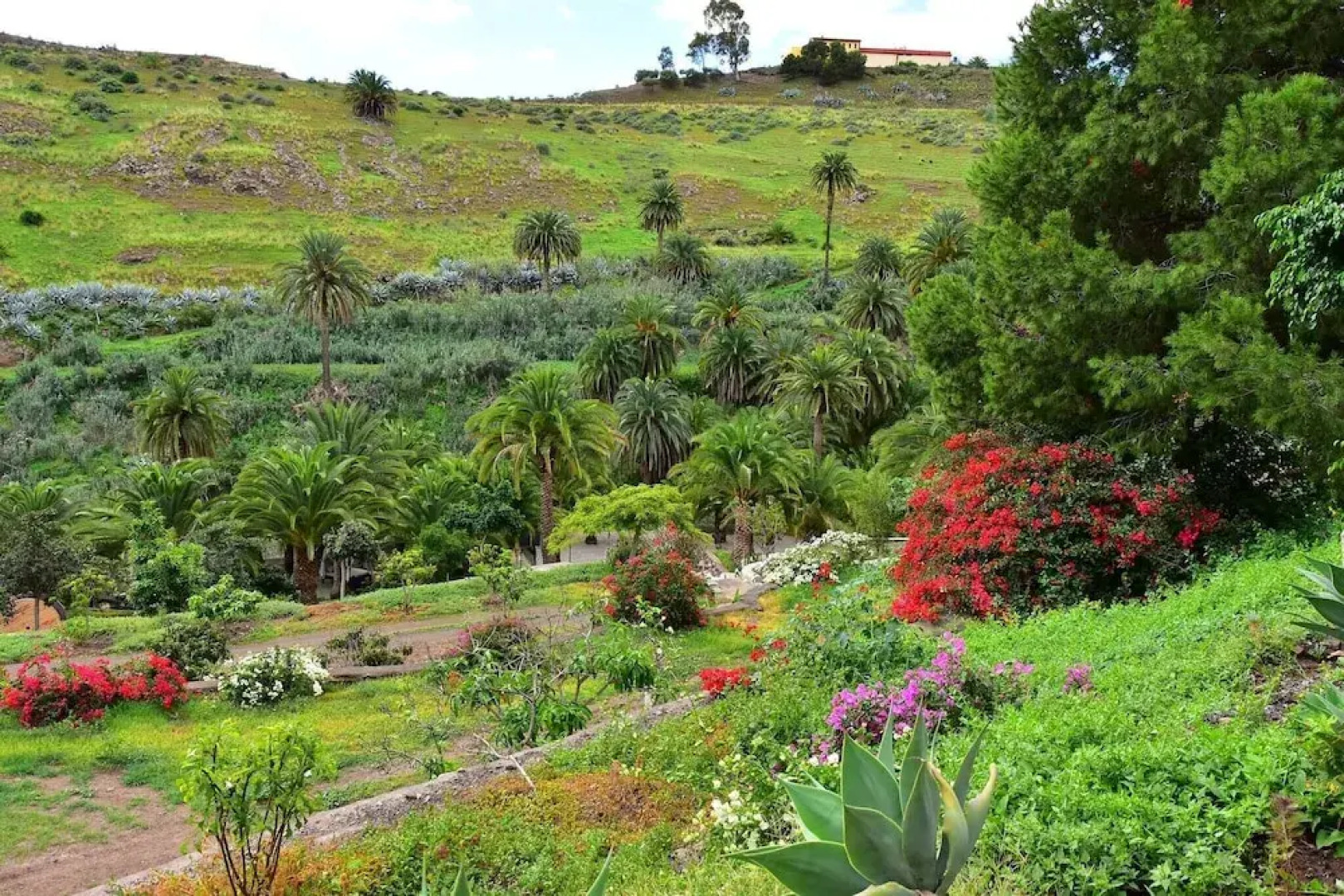 Casa África Villas Cruz Mayor