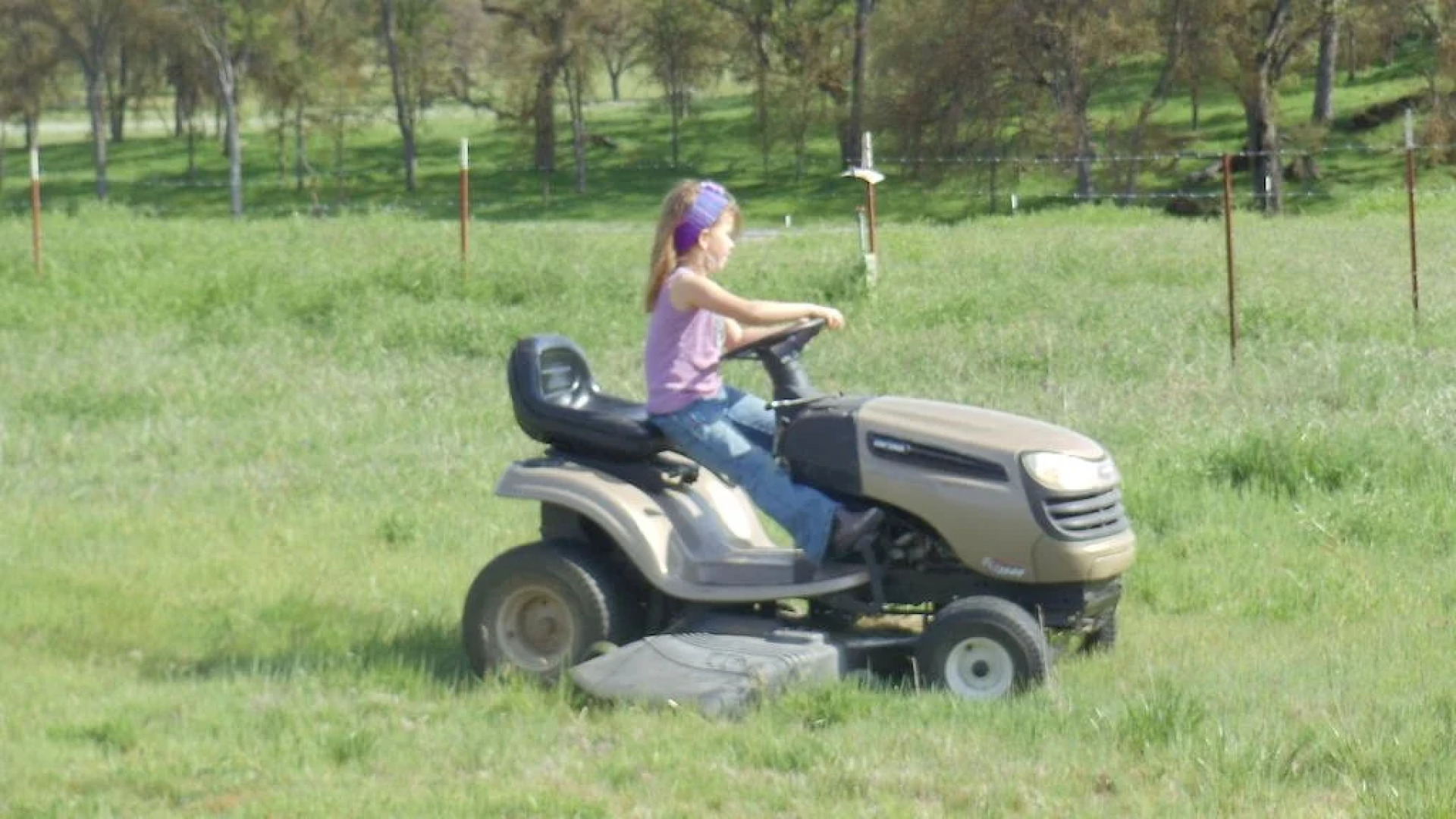 The Branded Calf B&B