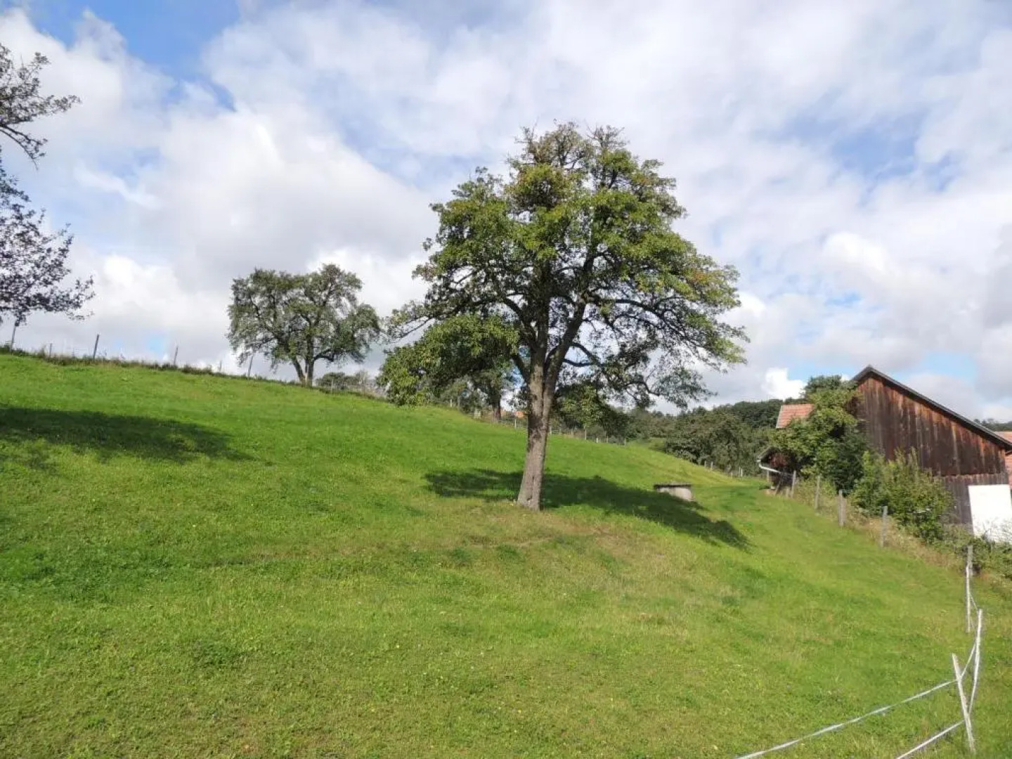 Ferienwohnungen Bonnleiten