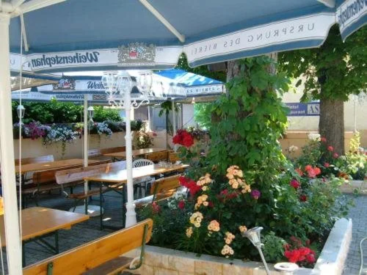 Assos Hotel Restaurant