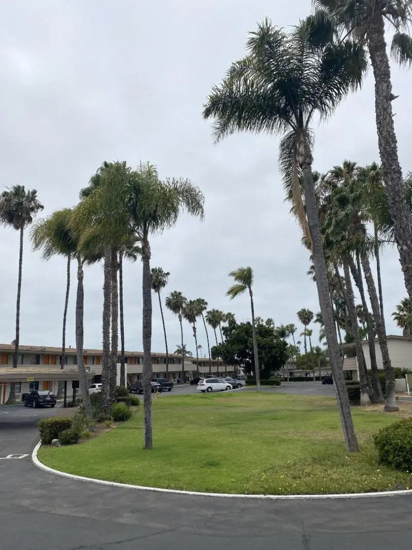 Hotel Palmeras Chula Vista