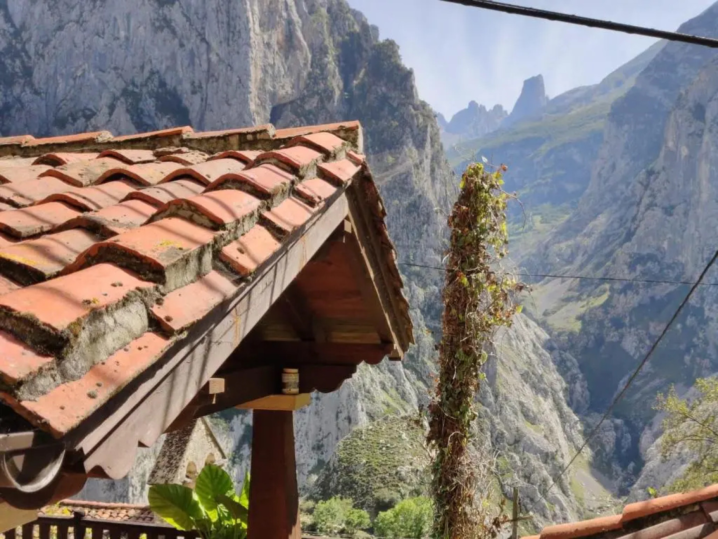 El Portal del Abuelo 2