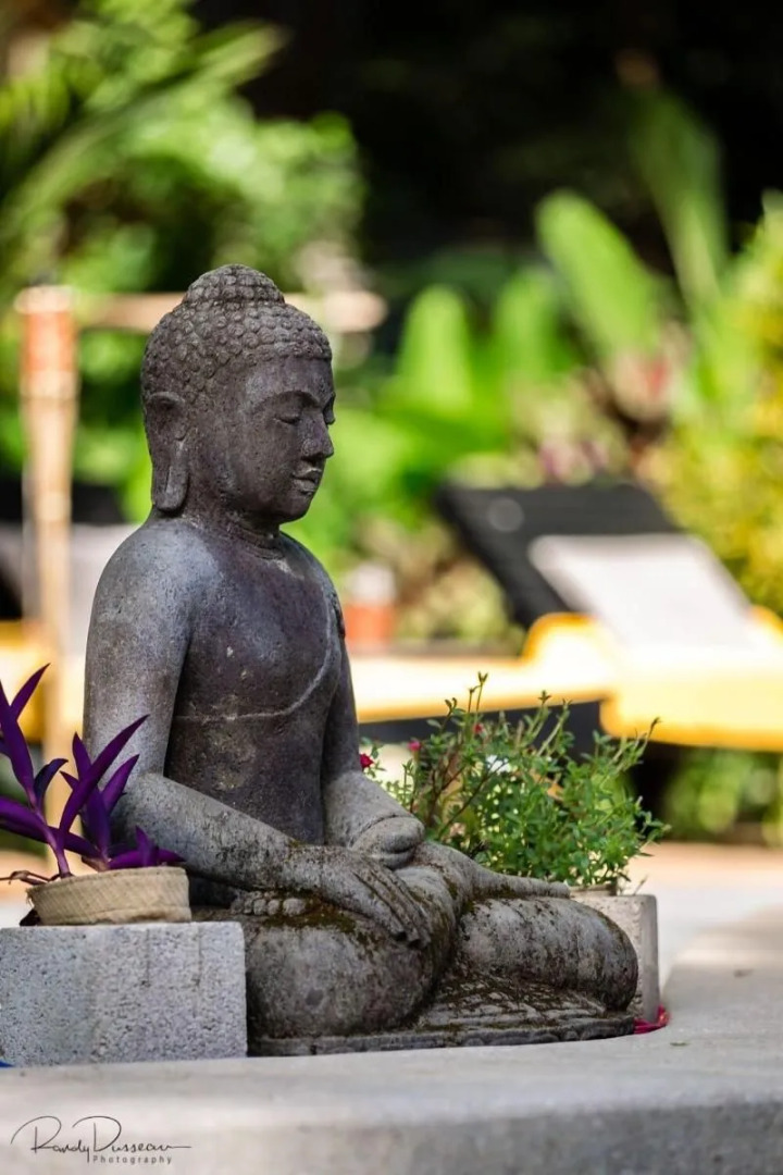 Libelula Lounge & Lodgings