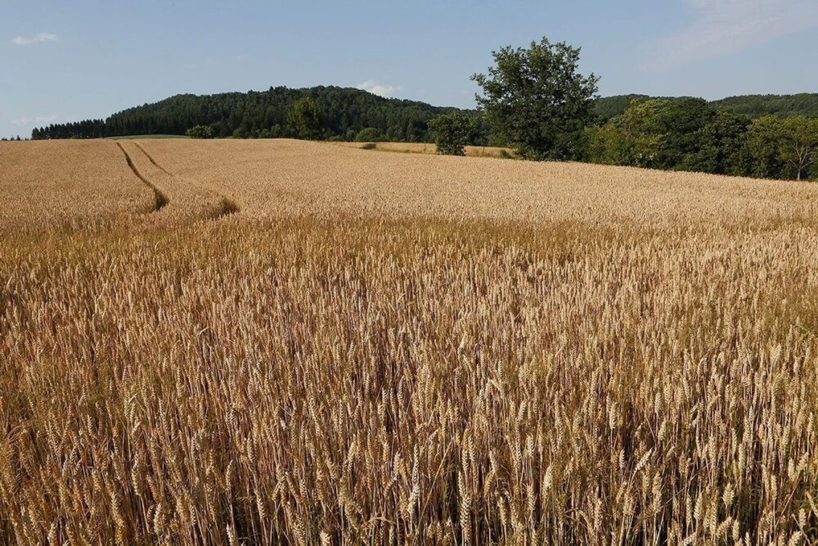 Landhaus Wald und See 2