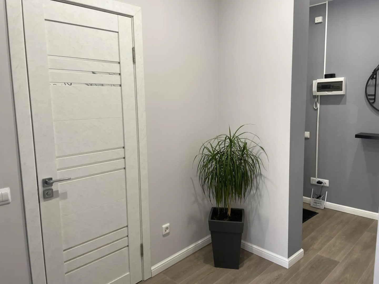 Апартаменты Монстера на проспекте Строителей