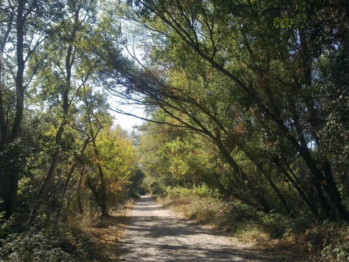 Hospital del Temple Casa Rural