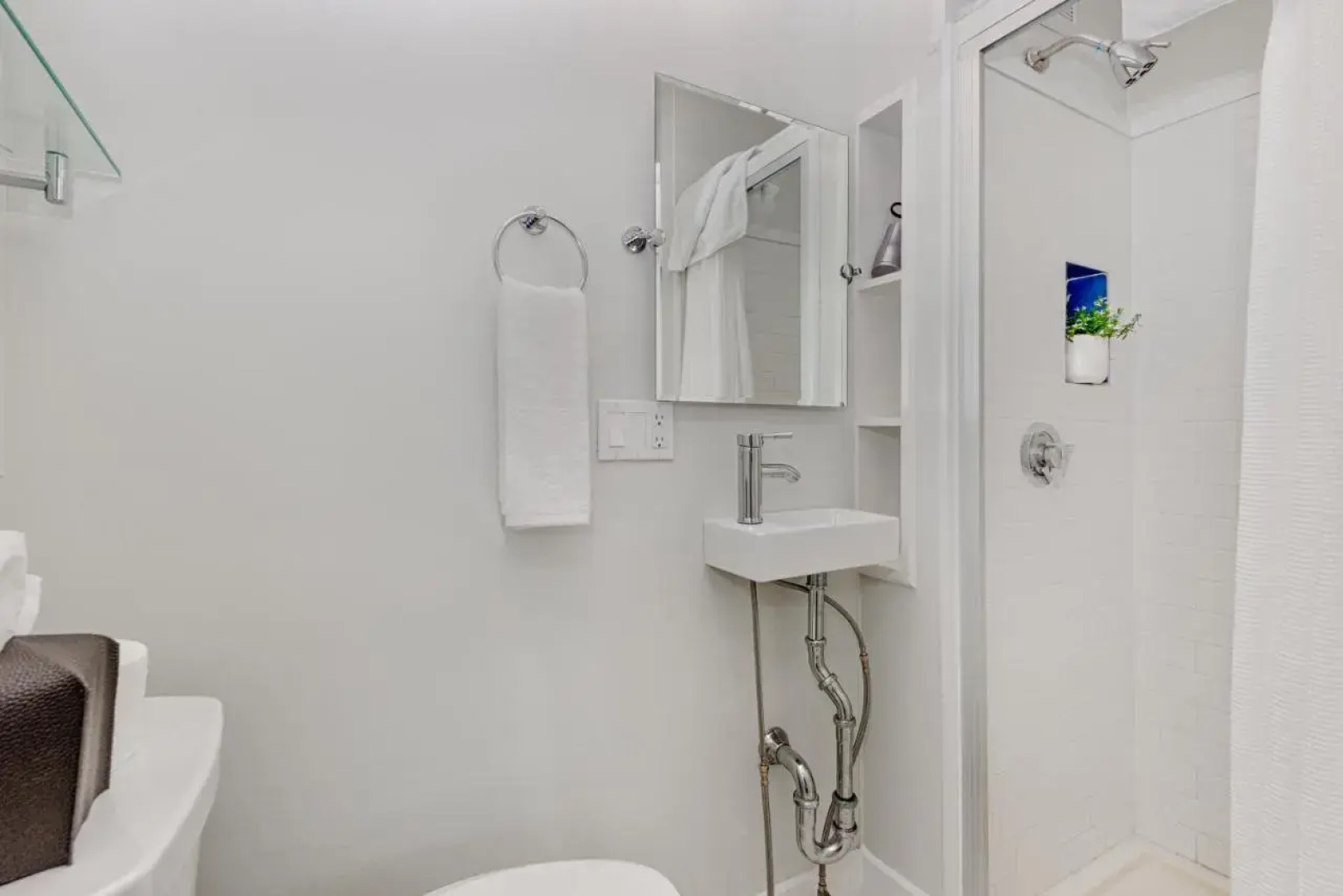 Nantucket Periwinkle