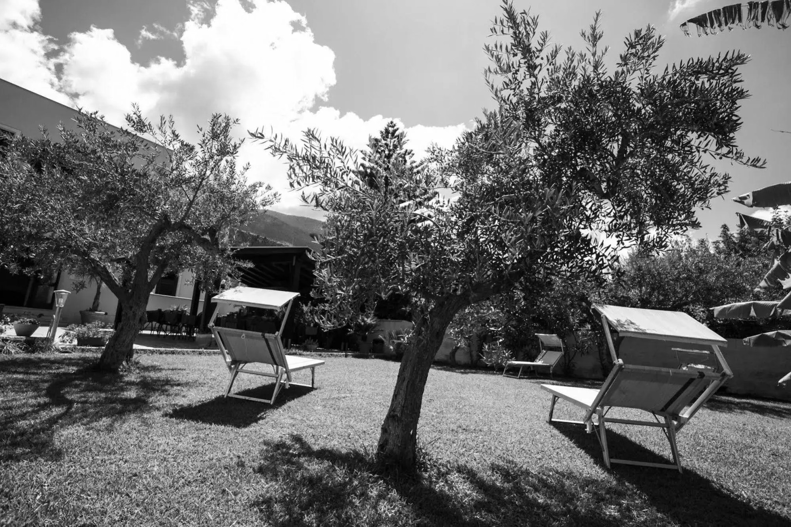 Trigrana Vacanze Hotel