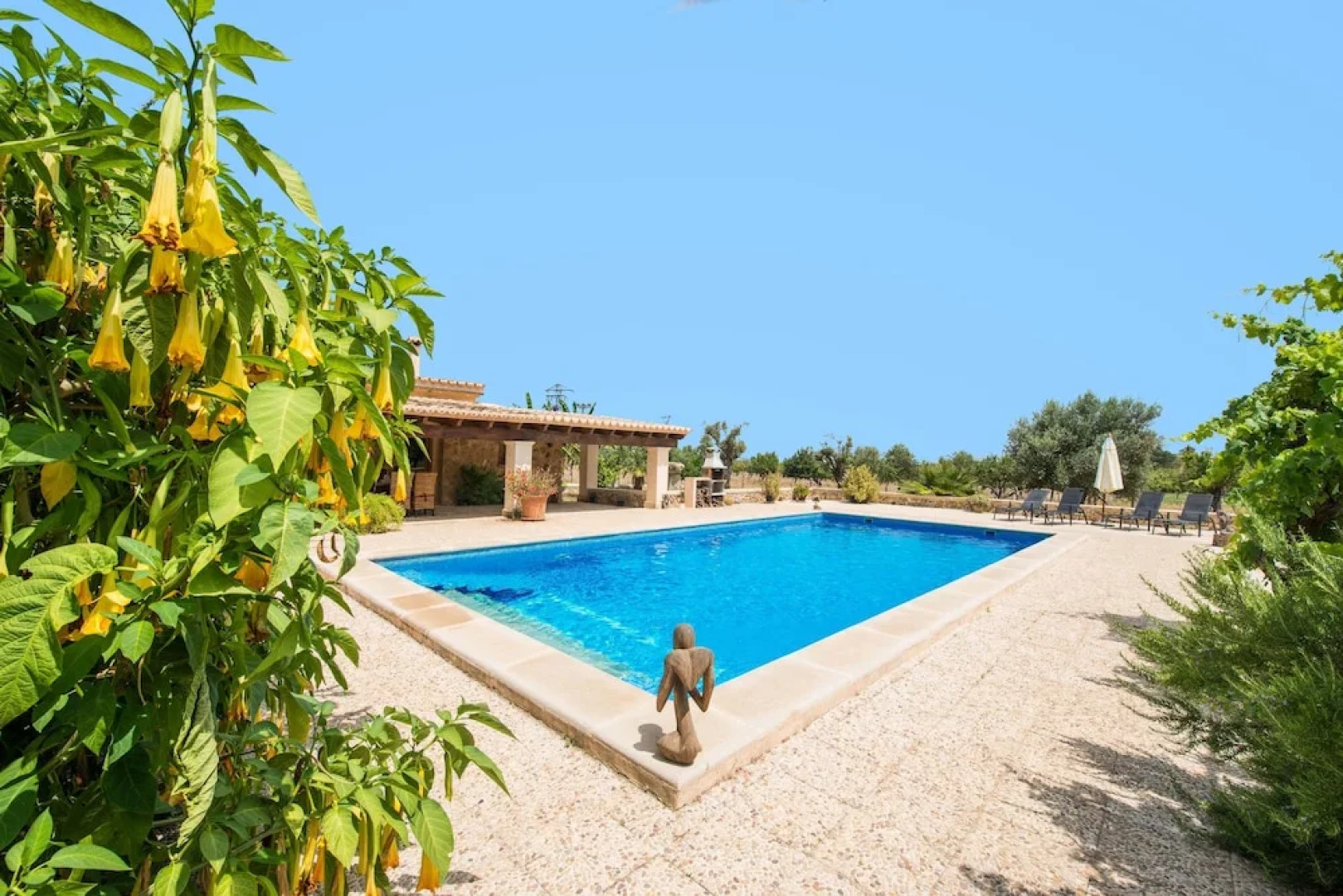 SA Parellada - Premium