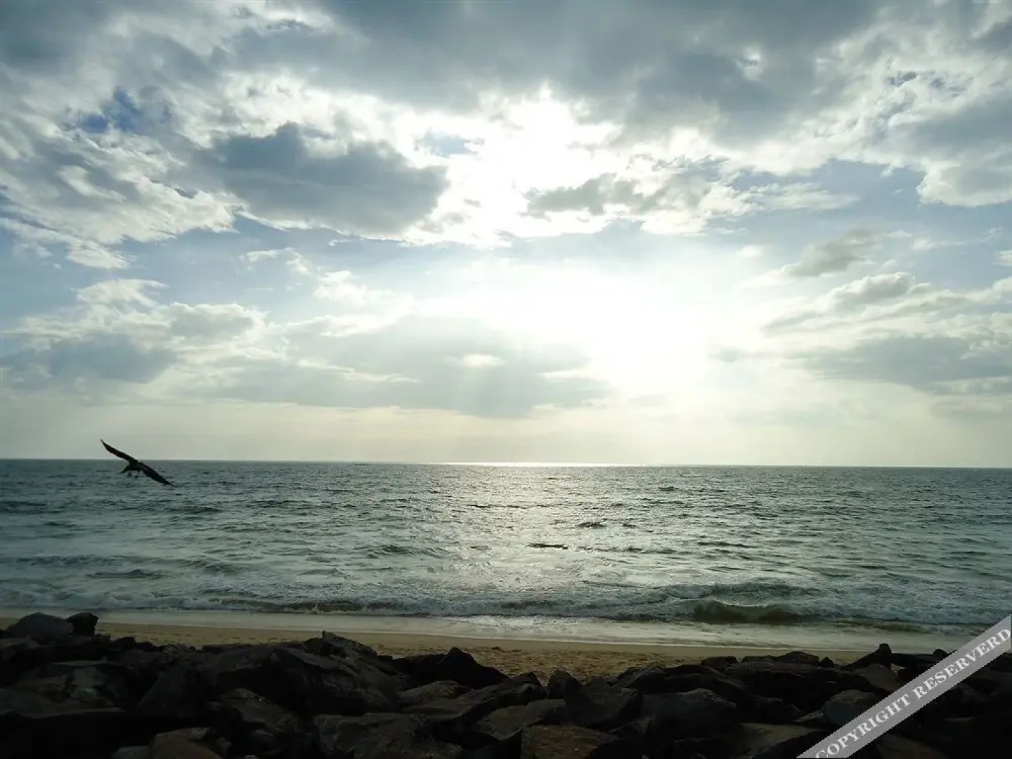 jüSTa Turtlebay on Sea