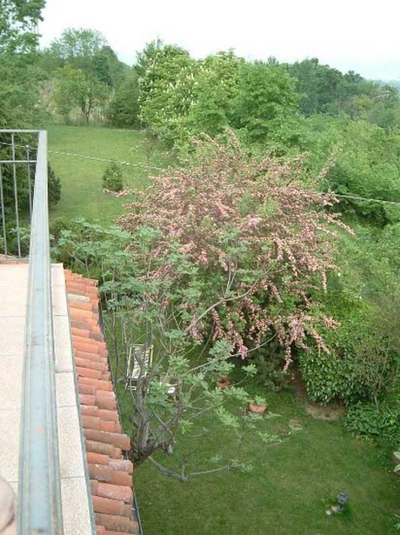 Apartment With 2 Bedrooms in Carrù, With Enclosed Garden - 45 km From