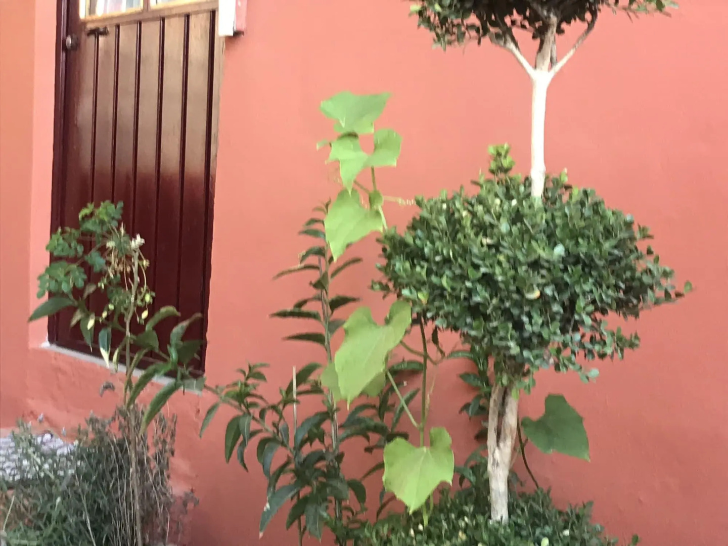 La Pineda Teotihuacan