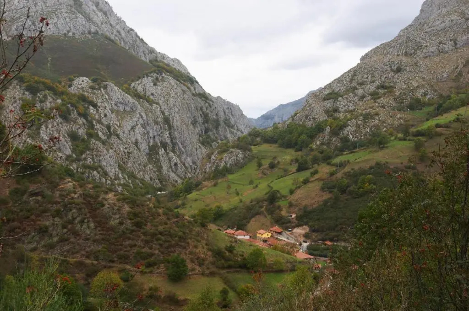 Apartamentos Blanca Senda del Oso