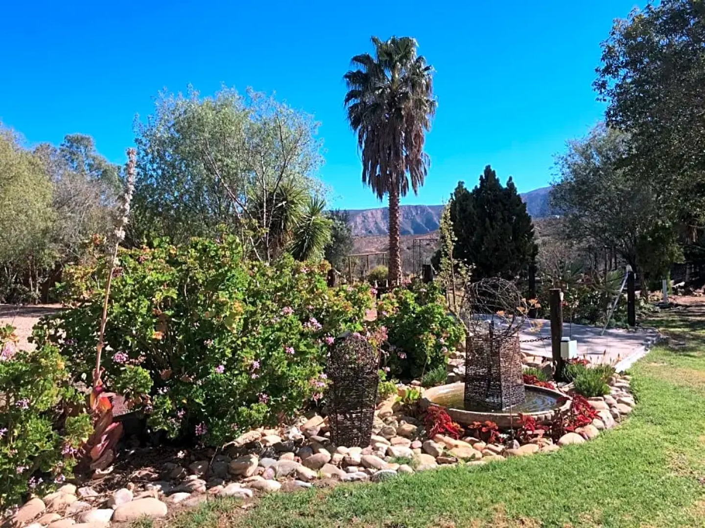 Karoo Life Bed & Breakfast