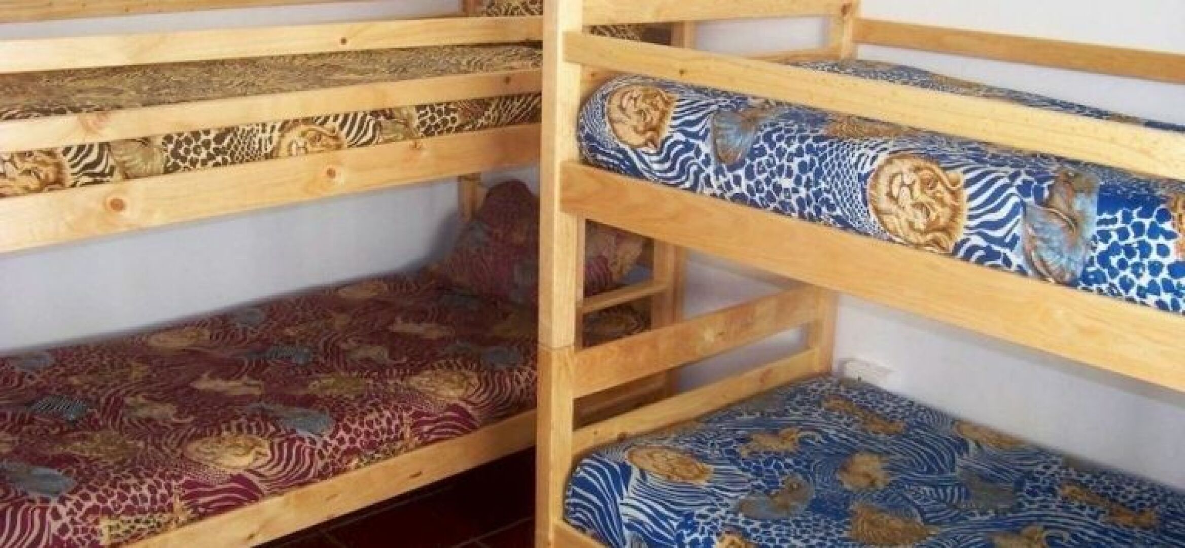 Dolphin House Backpackers and Self Catering