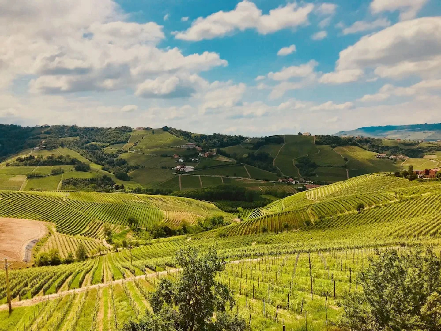 Villa Langhe in Castiglione Falletto