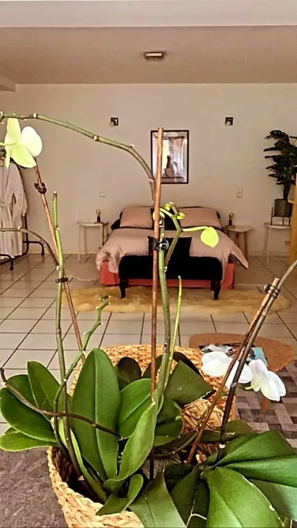 Chambre d'hôtes THE YELLOW CUBE