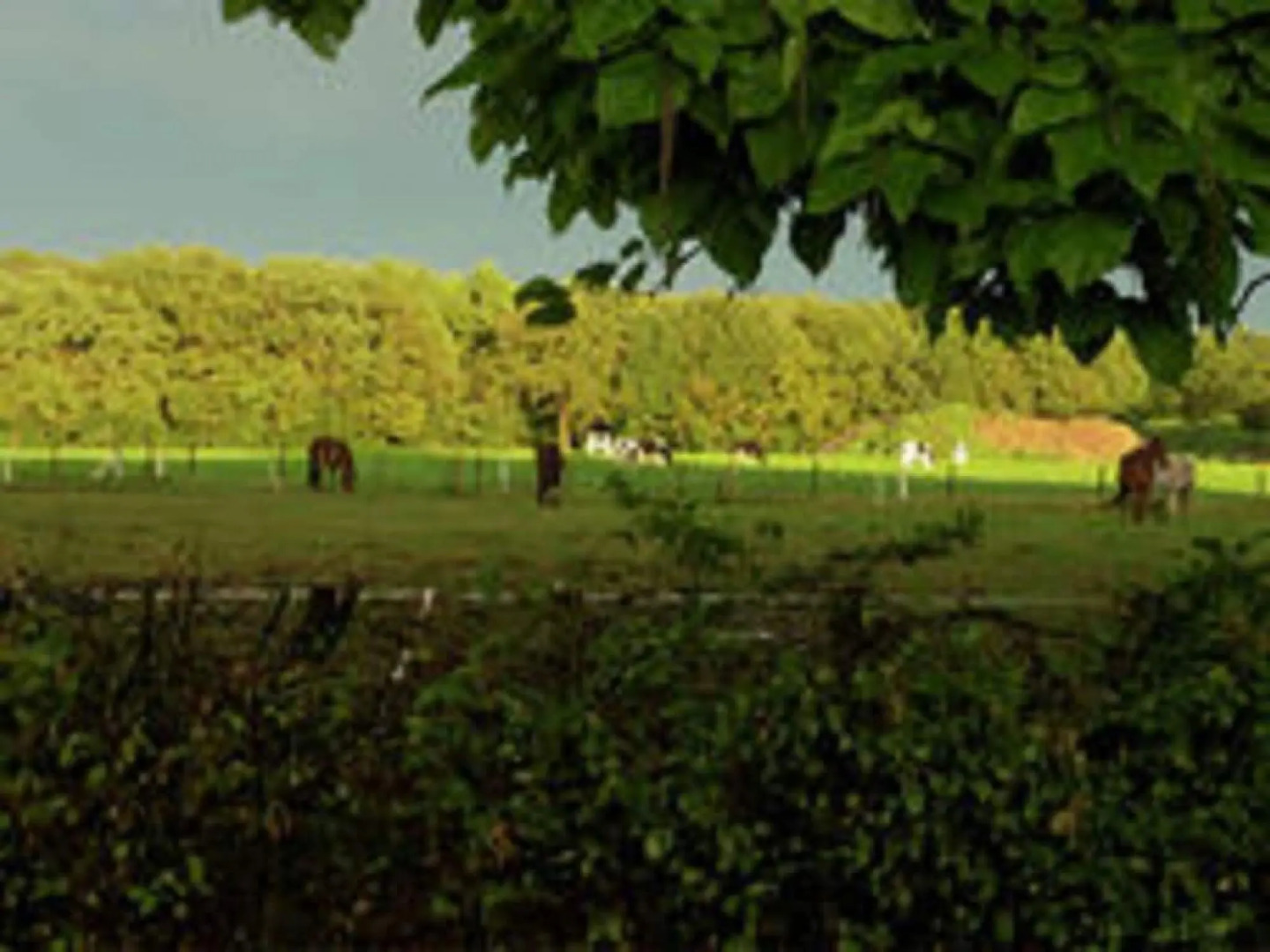 Lovely Design Countryside Holiday Home