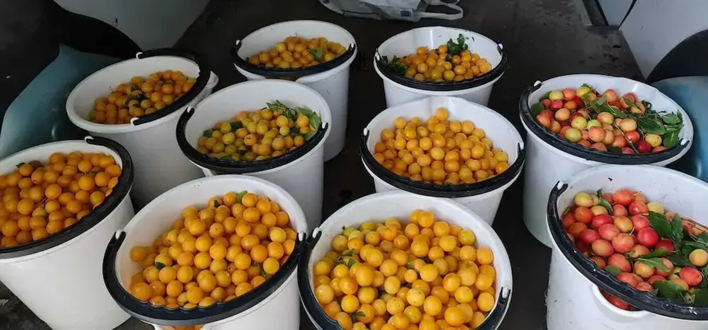 Hotel Stokkegaardens BnB & Apartments