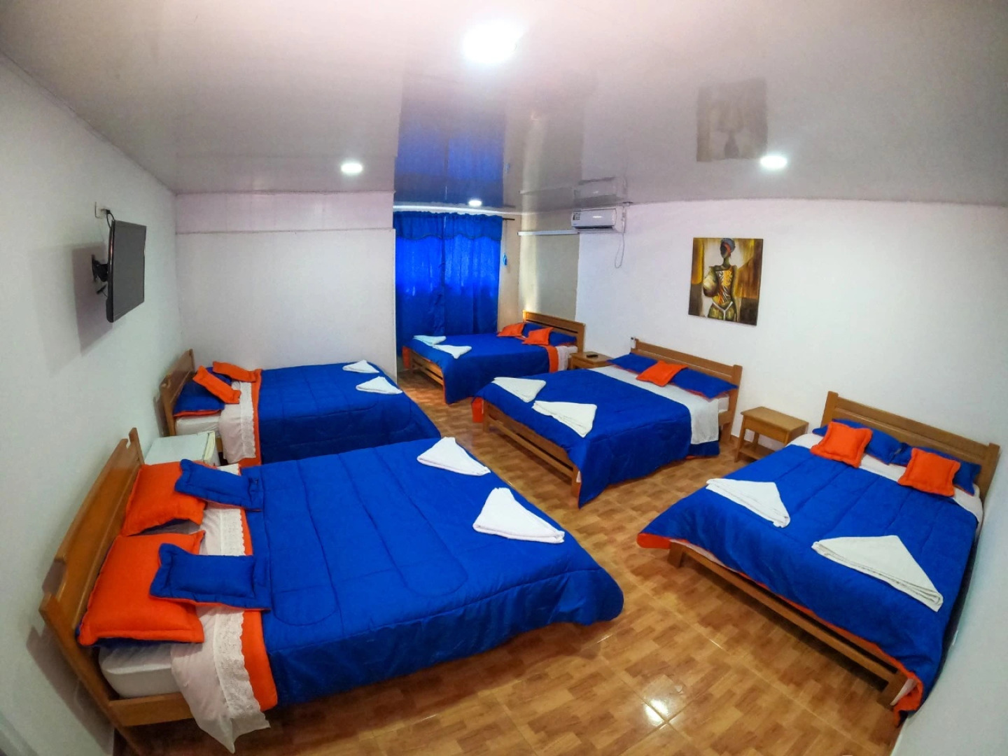 Viaja Con Ganas Colibri