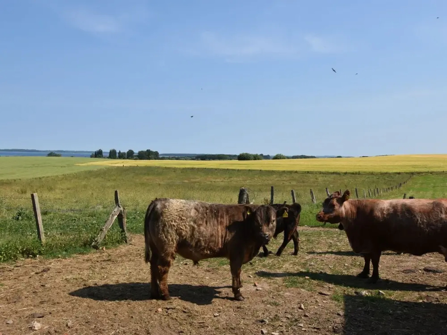 Lovely Farmhouse in Boiensdorf Amidst the Forest
