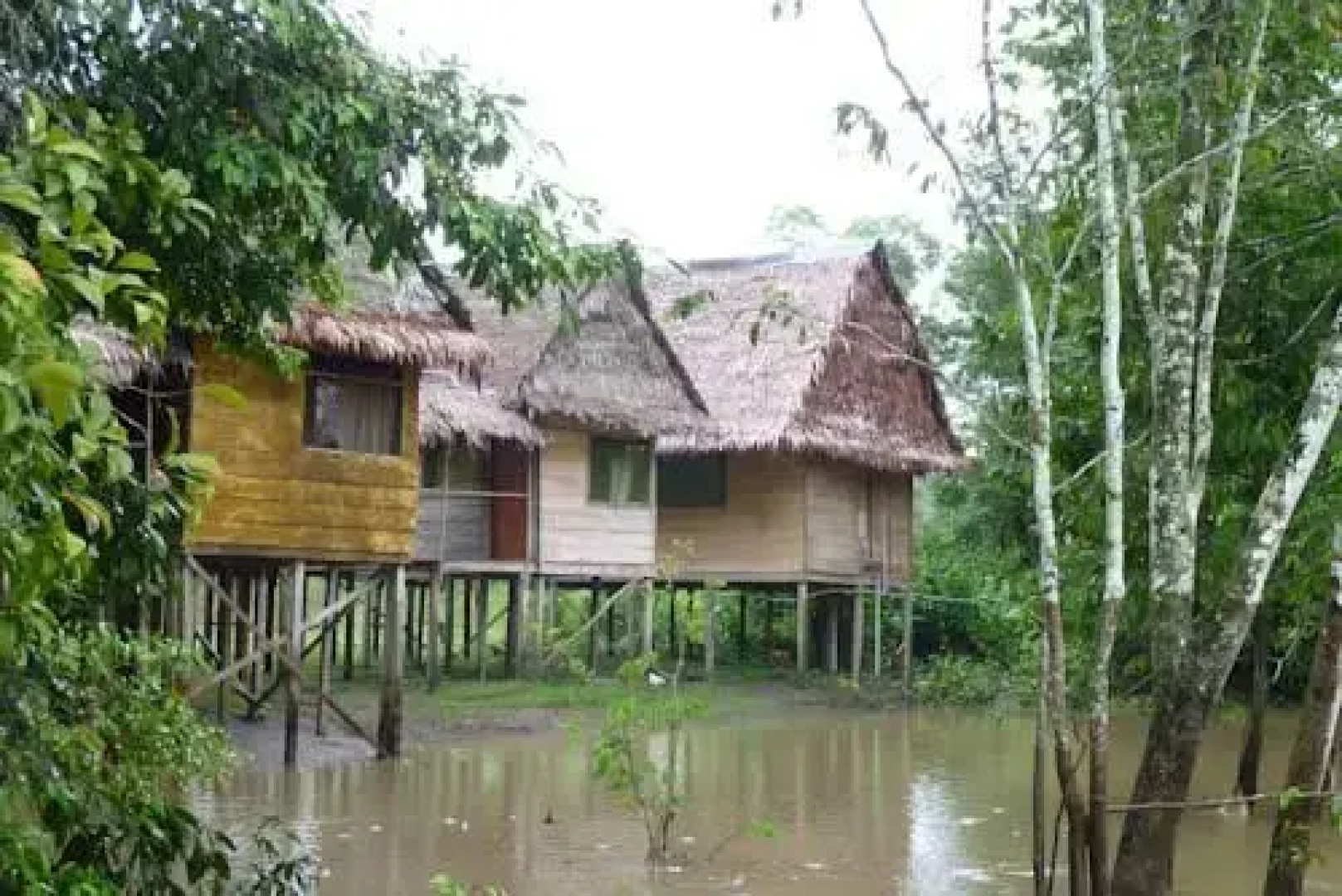 Yanapuma Explorer - Lodge & Adventure