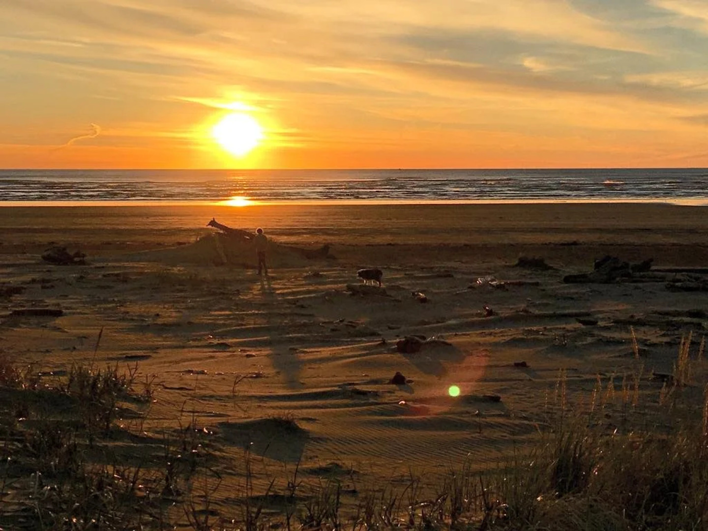 Hi-Tide Ocean Beach Resort