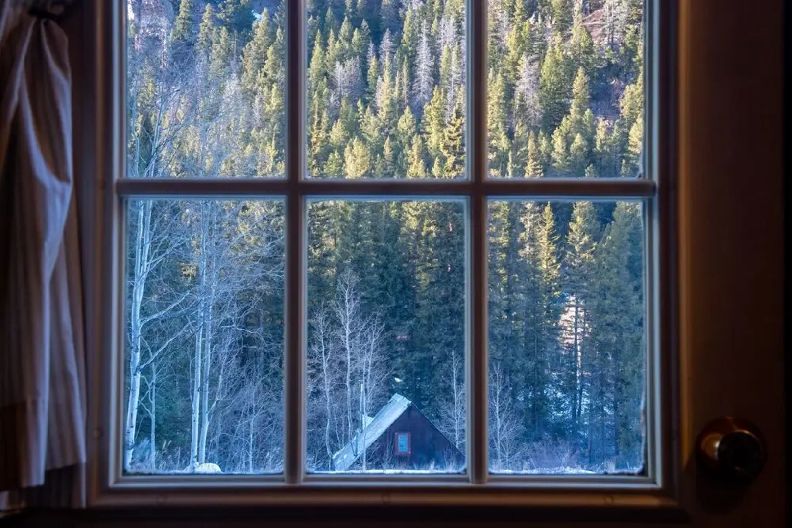 Pioneer Guest Cabins