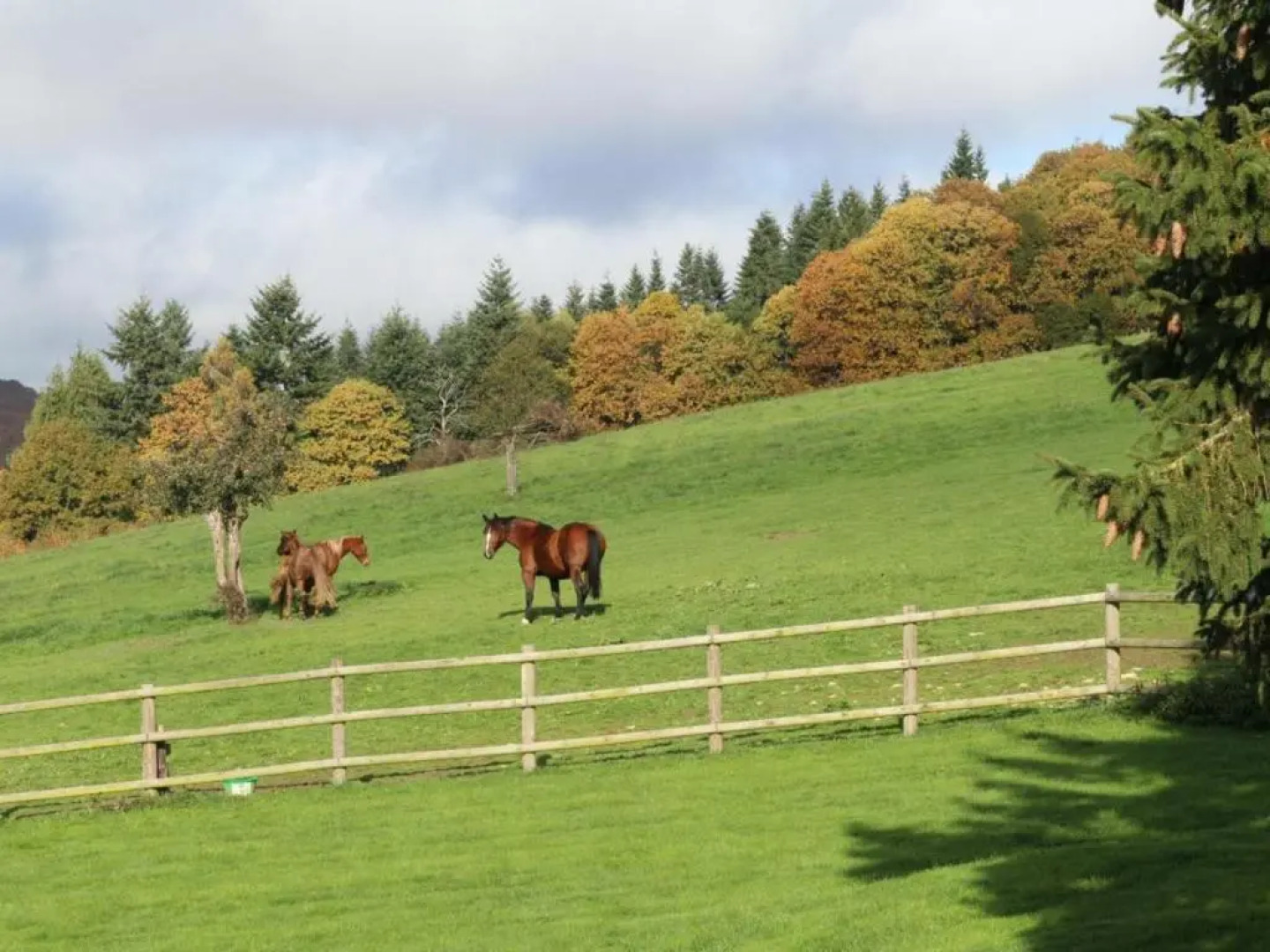 Gîte Radon, 2 pièces, 3 personnes - FR-1-497-111