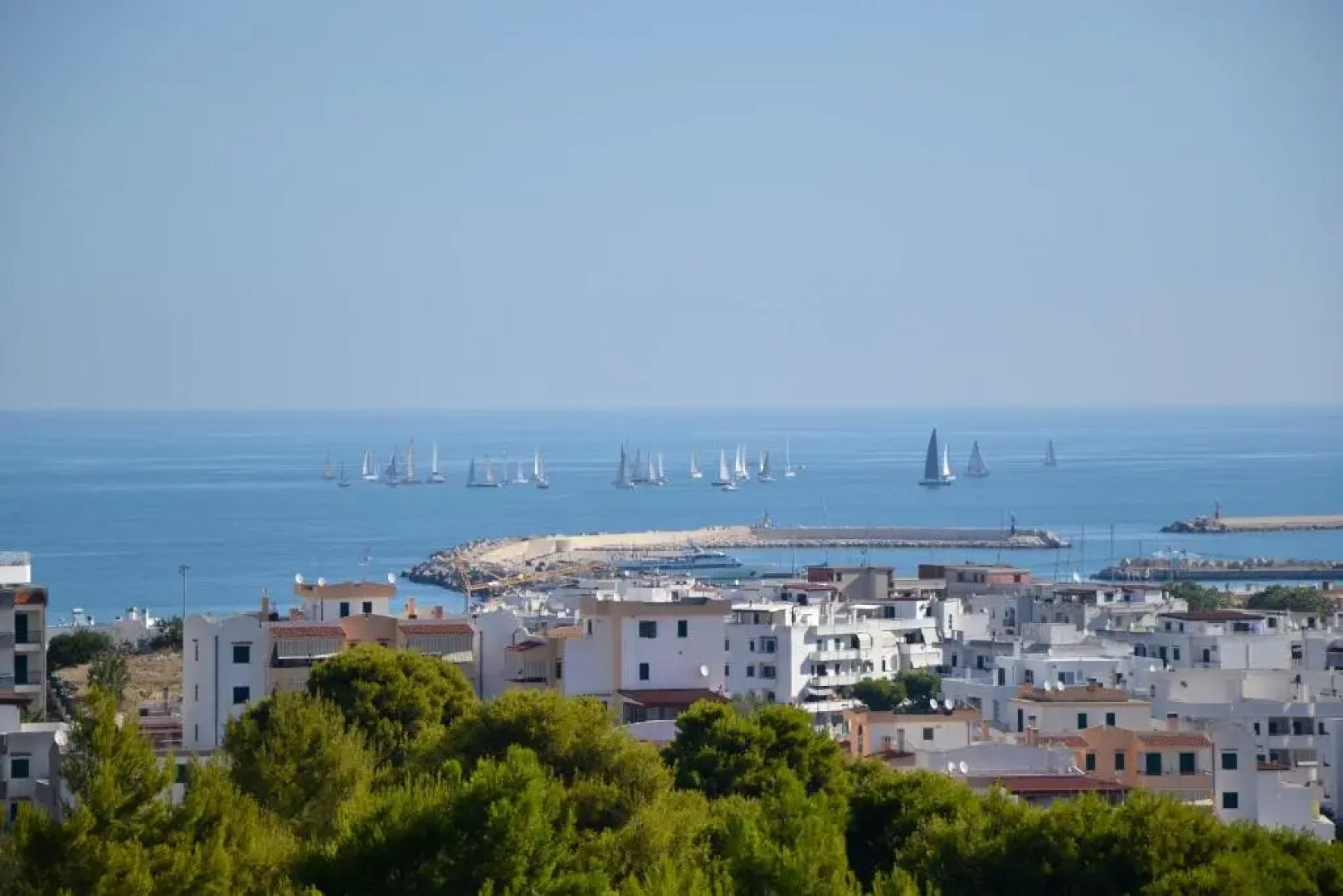 B&B Il Giardino Stellato