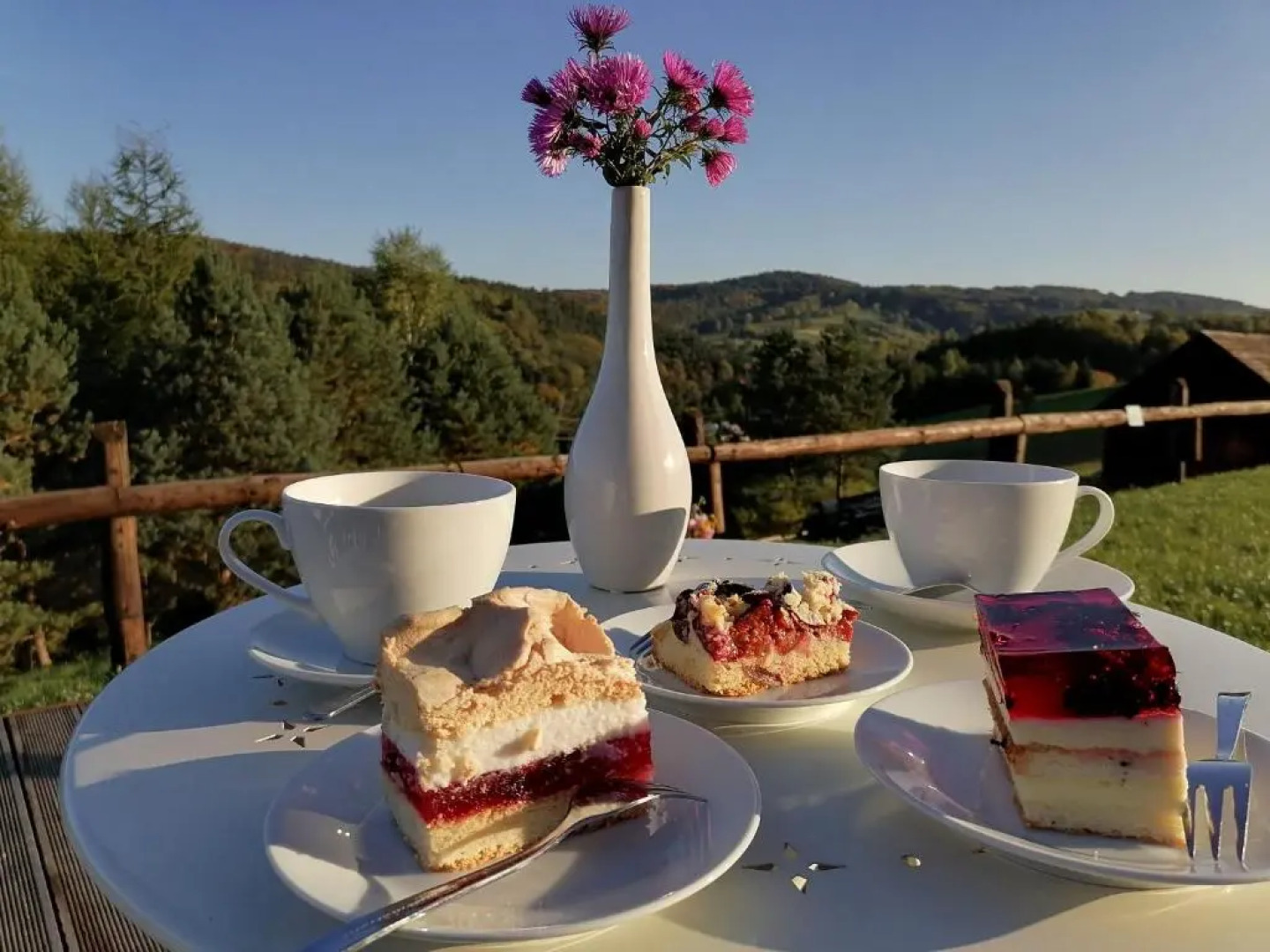 Chata w Bieszczadzie