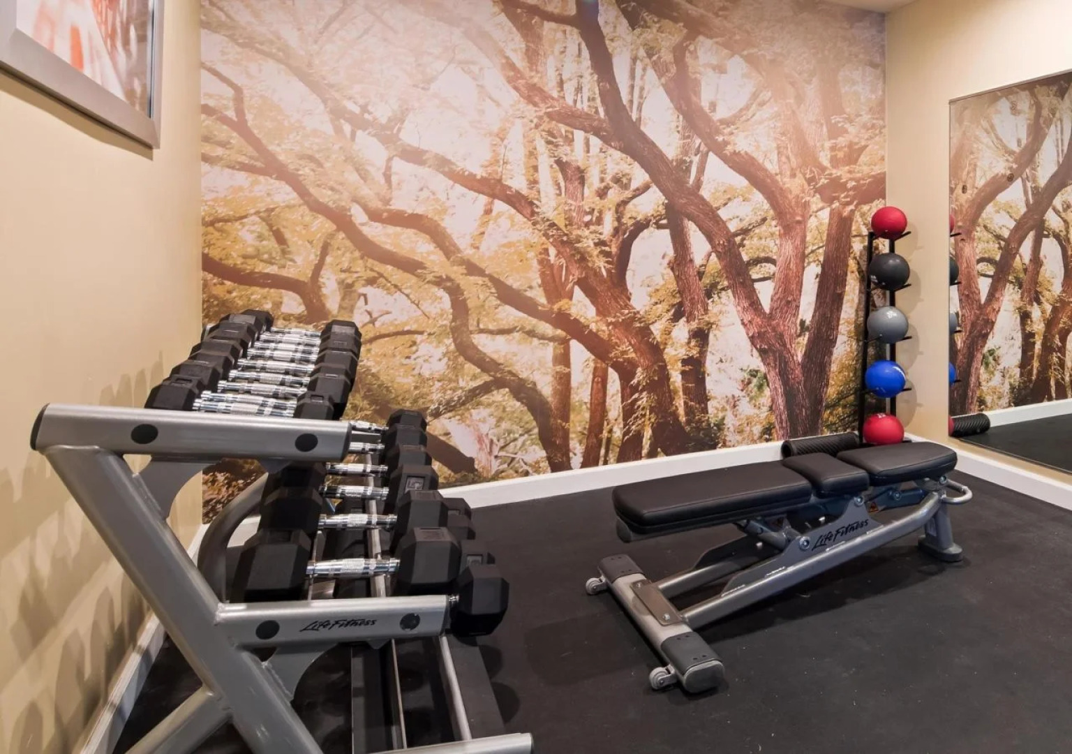 Best Western Plus Harrisburg Mechanicsburg