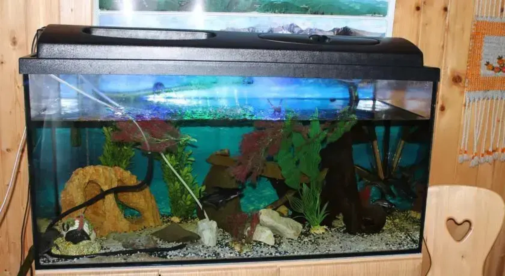 Pokoje Gościnne Bulcyk