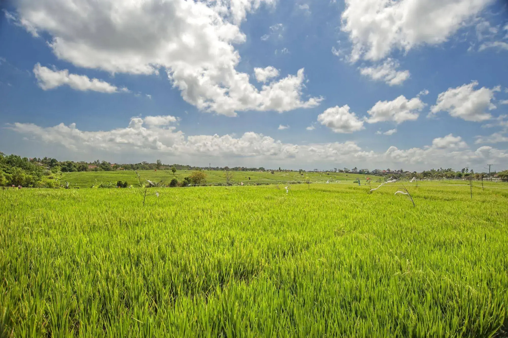 Villa Yenian by Villa Finder