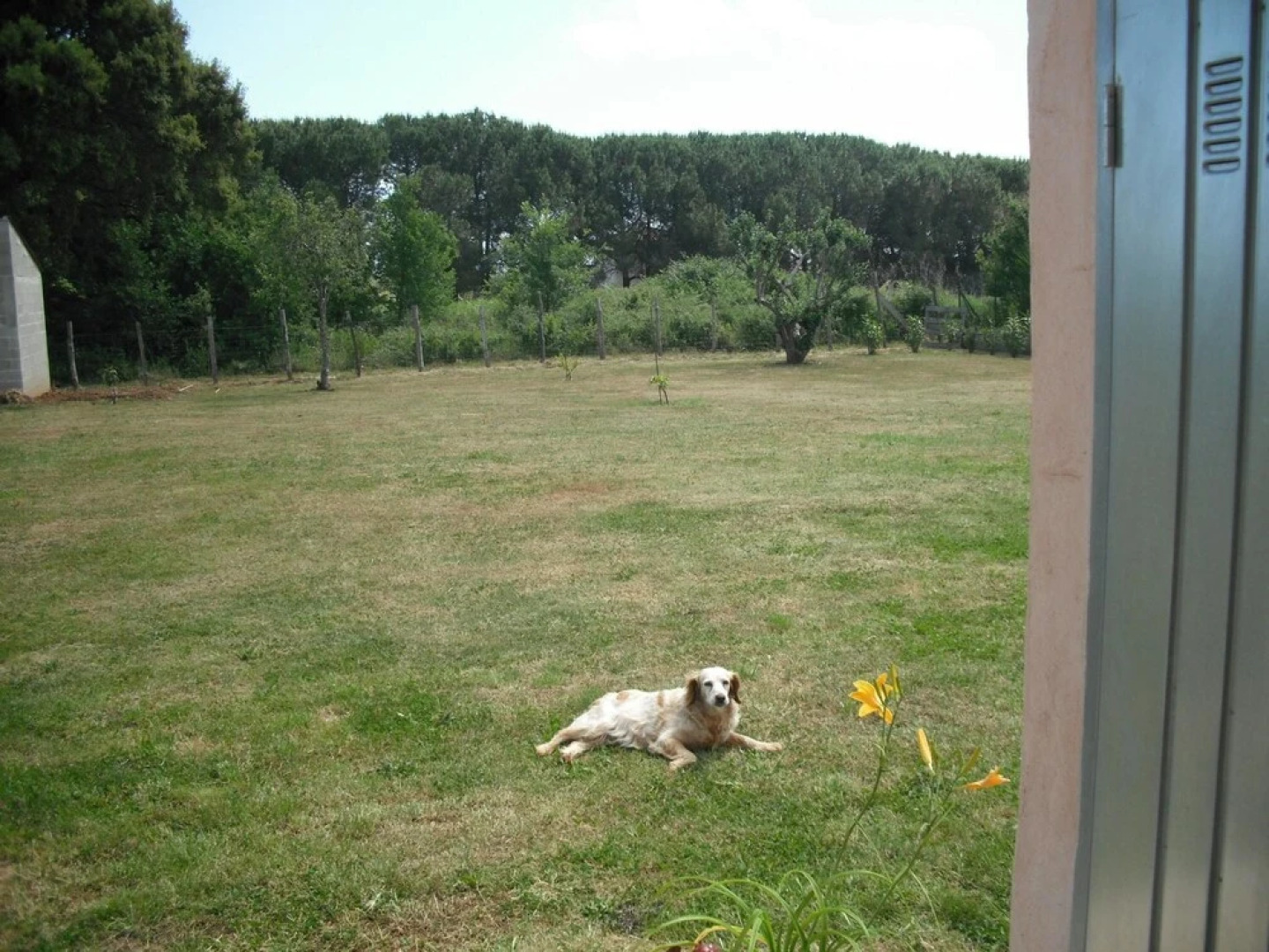 Apartment With 2 Bedrooms in Sorbo-ocagnano, With Enclosed Garden and