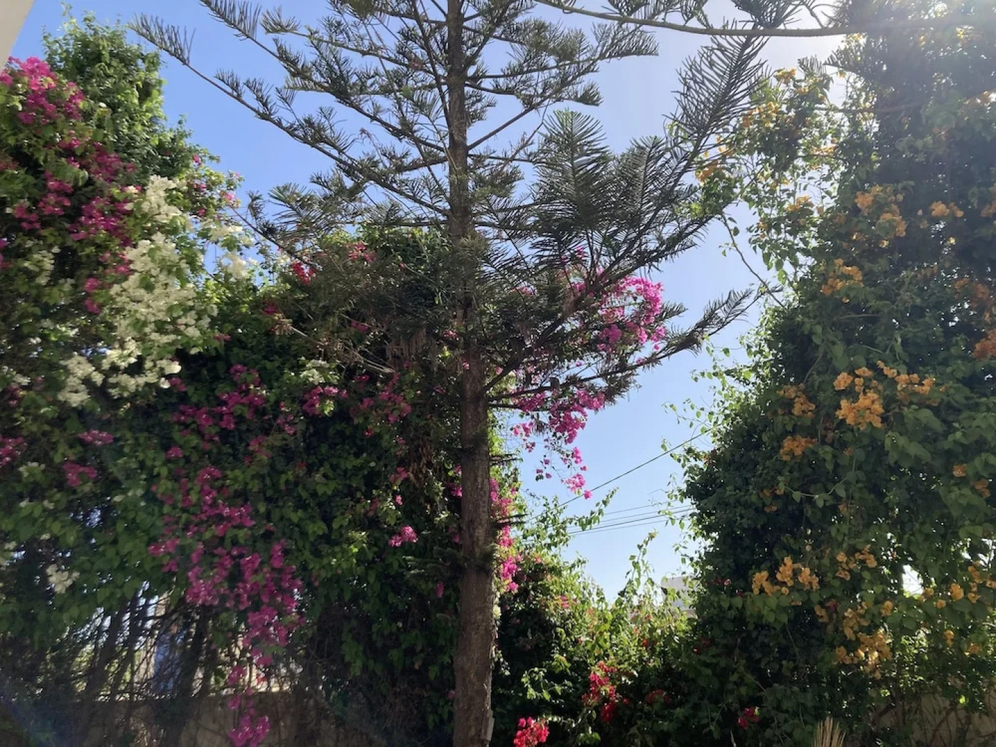 Auberge du Marabout