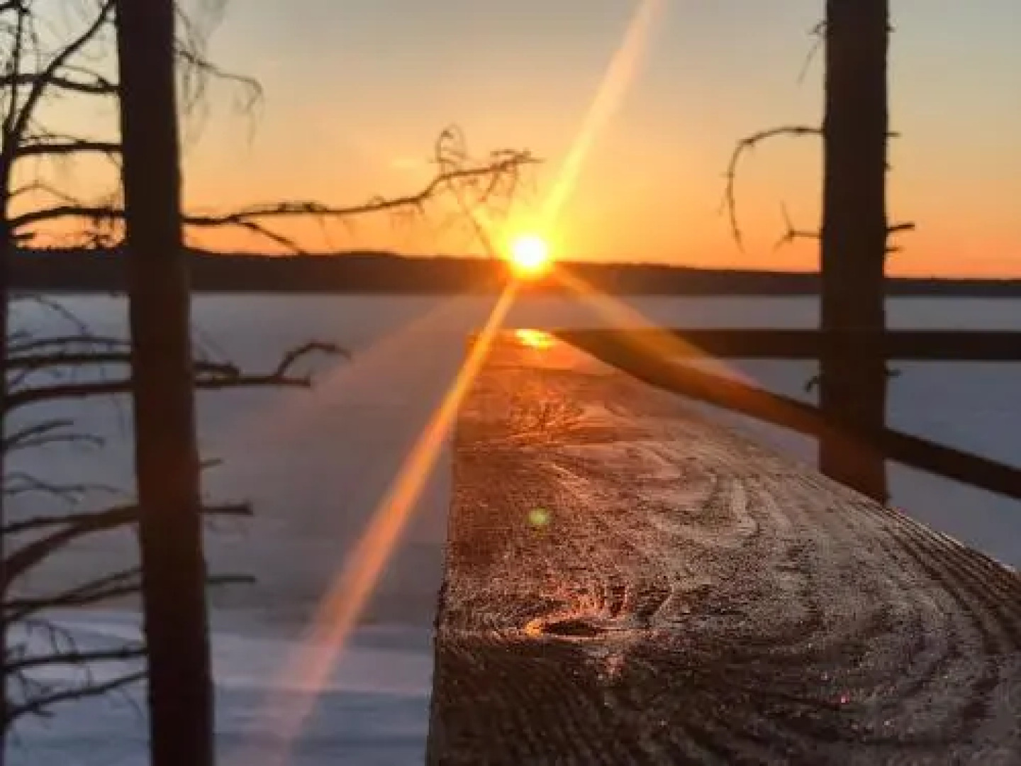 Guest House - Belye Nochi