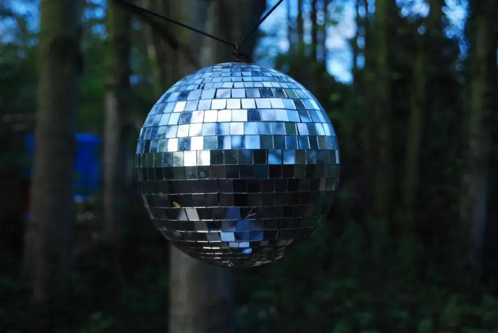 Herberg De Helleborus