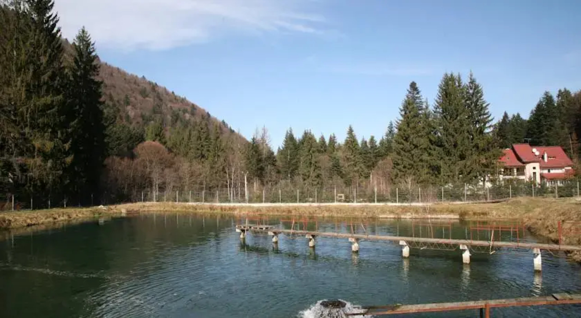 Pension Floarea Reginei