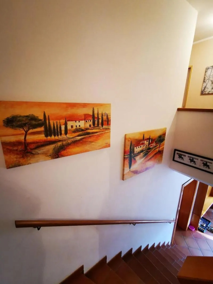 Islandpferdehof Rapoldi