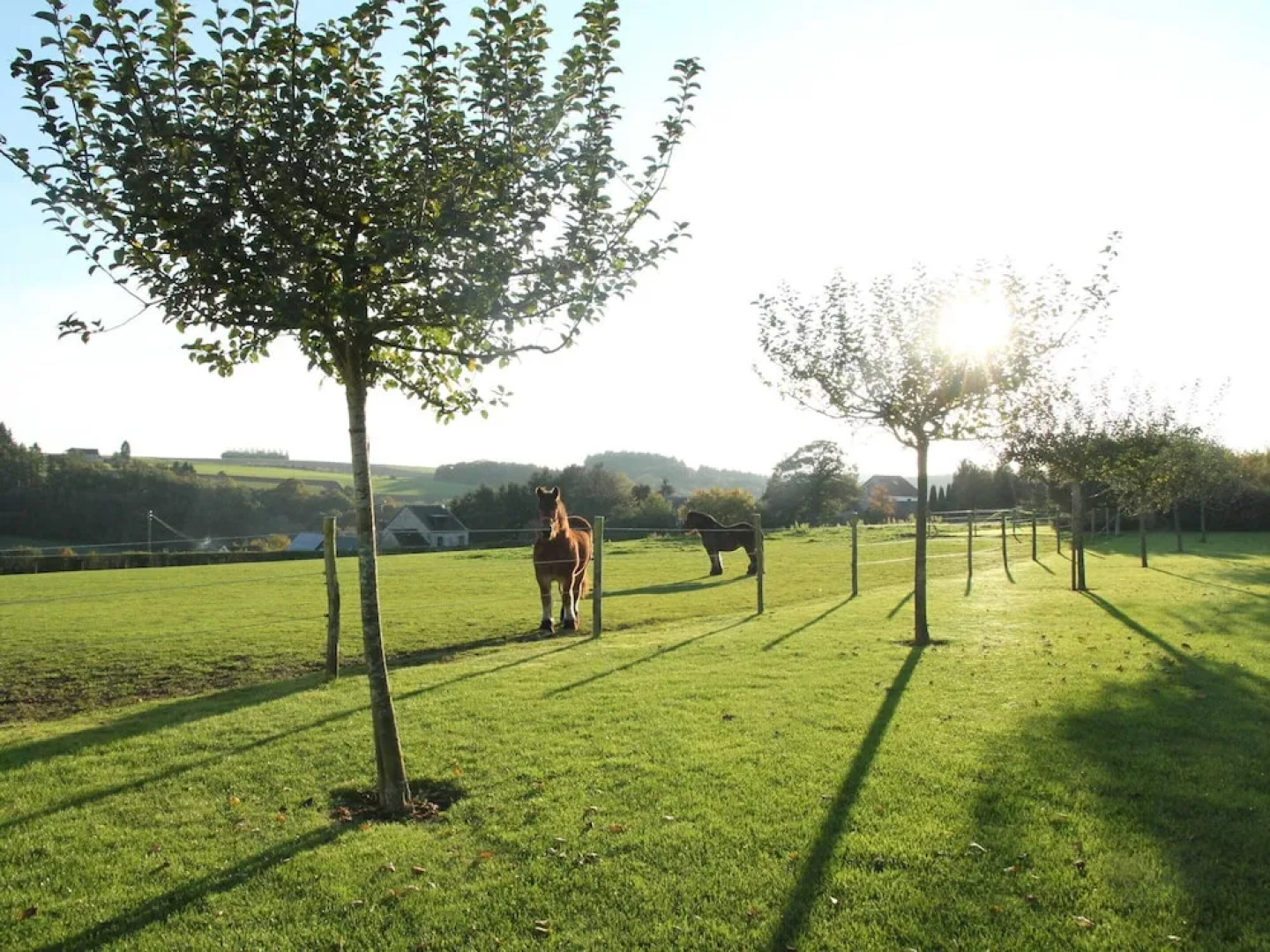 Elegant Estate Stay, Maredsous