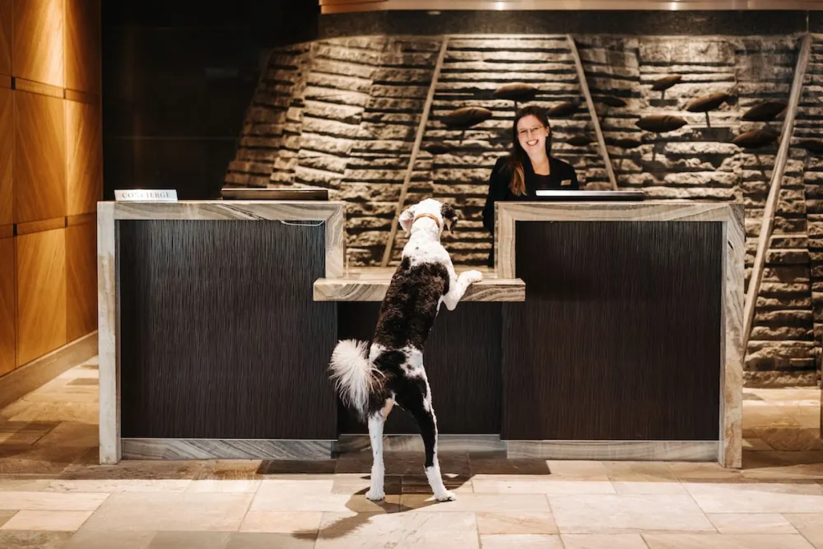 Fairmont Vancouver Airport - Gold Experience